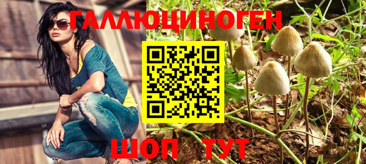 Джанкой  Галлюциногенные грибы Psilocybine cubensis  Вход с VPN  магазин    Псилоцибиновые грибы Cubensis 